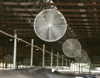 Barnstormer Air Circulator Application